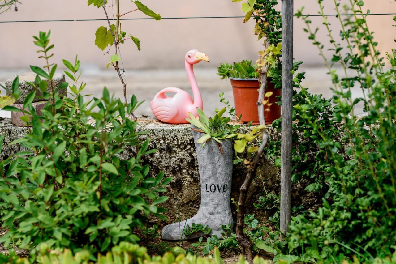 Kuca Vila Nina Tomislavgrad Exteriér fotografie